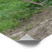 牛の写真ポスター ポスター (角)