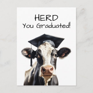 牛の卒業カード「Herd You Graduated」ユーモア溢れるデザイン ポストカード
