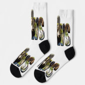 牛の名前写真ロゴと牛、 ソックス (左)