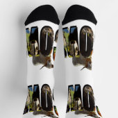 牛の名前写真ロゴと牛、 ソックス (上部)