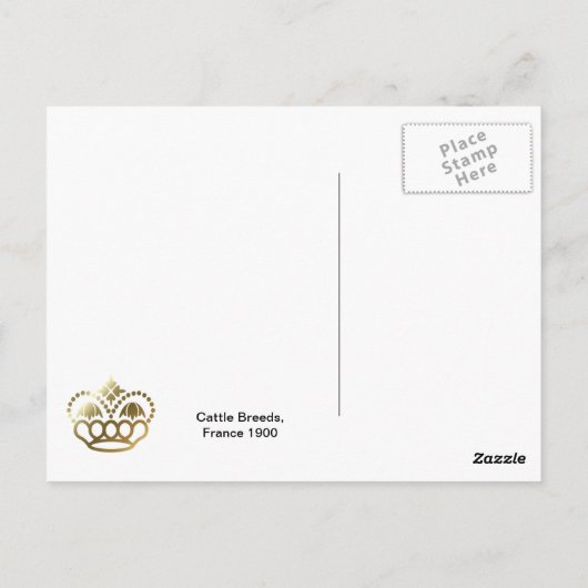 牛の品種,フランス,さまざまな品種 ポストカード (裏面)