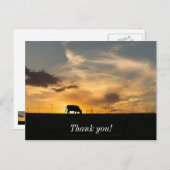 牛の夕日シルエット ポストカード (正面/裏面)