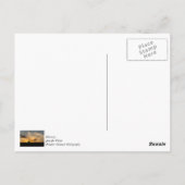 牛の夕日シルエット ポストカード (裏面)