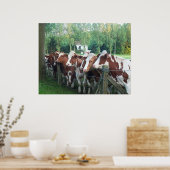 牛の好奇心 ポスター (キッチン)