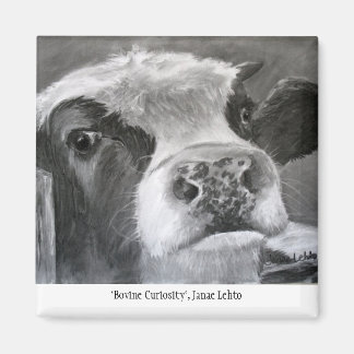 牛の好奇心 マグネット