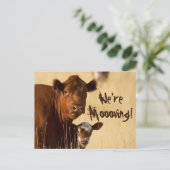 牛の家族の引っ越し 案内ポストカード (スタンド正面)