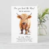 牛の引っ越しました新しい住所ハイランドカーフ移動 案内状 (スタンド正面)