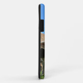 牛の放牧iPhone 5ケース Case-Mate iPhoneケース (裏面/右)