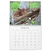 牛の数と小さな牛のカレンダー カレンダー (1月 2026)