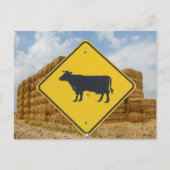 牛の横断標識、ベール付き積み上げ干草 ポストカード (正面)