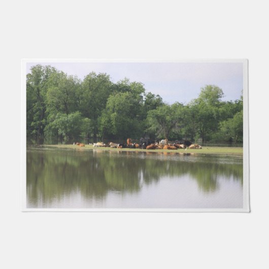 牛の毛状 ドアマット (正面)