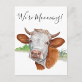 牛の水の色を動かすアナウンス 案内ポストカード (正面)