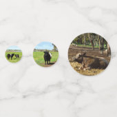 牛の混在画像 コンフェッティ (正面)