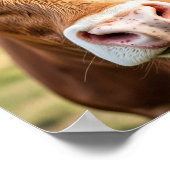 牛の牧場へ ポスター (角)