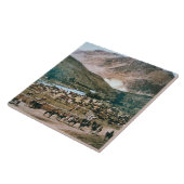 牛の牧場、コロラド州1899年(写真) タイル (側面)