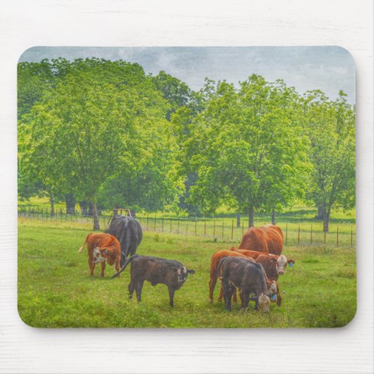 牛の牧草地テキサス州ファームアートマウスパッド マウスパッド (正面)