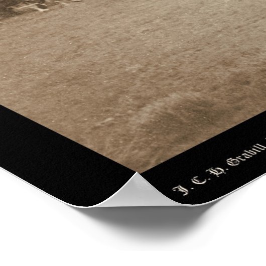 牛の牧草地SD 1887 ポスター (角)