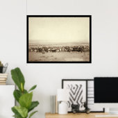 牛の牧草地SD 1887 ポスター (ホームオフィス)