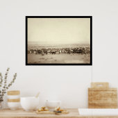 牛の牧草地SD 1887 ポスター (キッチン)