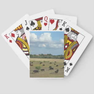 牛の牧草遊のカード トランプ