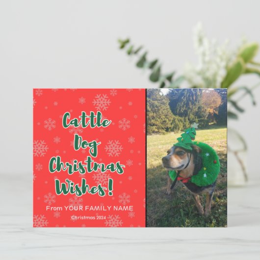 牛の犬のクリスマスの願い1写真 シーズンカード (スタンド正面)