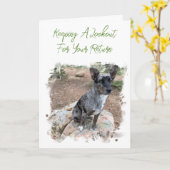 牛の犬の写真のプレースホル恋しく思ダーのYouテンプレート カード (黄色い花)