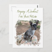 牛の犬の写真のプレースホル恋しく思ダーのYouテンプレート ポストカード (正面/裏面)