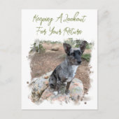 牛の犬の写真のプレースホル恋しく思ダーのYouテンプレート ポストカード (正面)