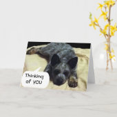 牛の犬は特別な人を欲しがっている カード (黄色い花)