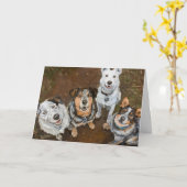 牛の犬やヘラーを微笑むキャットレードス カード (黄色い花)