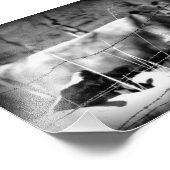 牛の白黒 フォトプリント            (角)