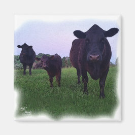 牛の磁石！ マグネット