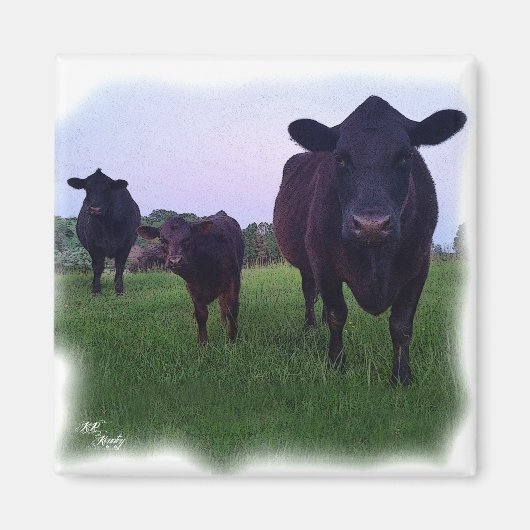 牛の磁石！ マグネット (正面)