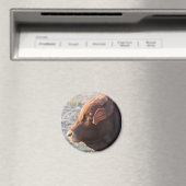 牛の磁石:牛 マグネット (インサイチュ (食洗機))