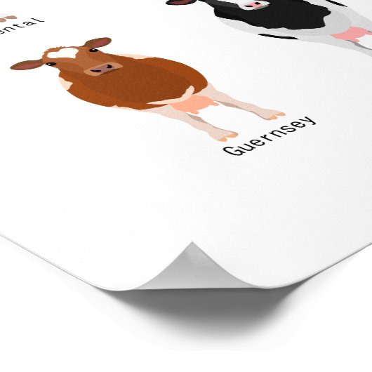 牛の種別図 ポスター (角)