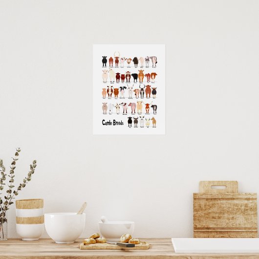 牛の種別図 ポスター (キッチン)