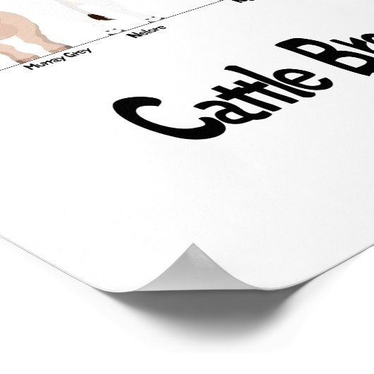 牛の種別図 ポスター (角)