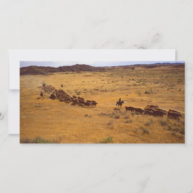 牛の総集金 (正面)