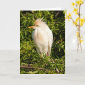 牛の緑のプロファイルのグリーティングカード カード (黄色い花)