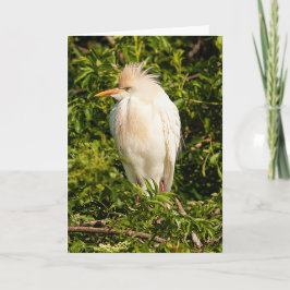 牛の緑のプロファイルのグリーティングカード カード