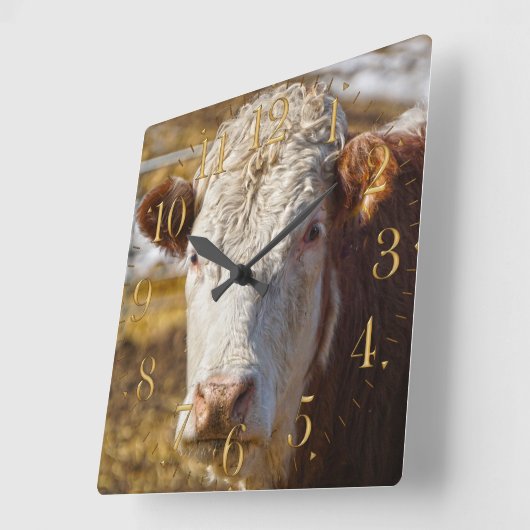 牛の美しい – 牛 スクエア壁時計 (傾斜)