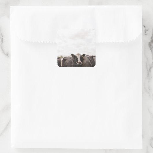 牛の群れと曇り空2 スクエアシール (バッグ)