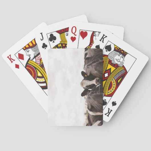 牛の群れと曇り空2 トランプ (裏面)