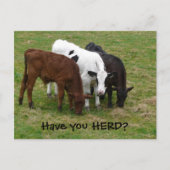 牛の群れはありますか？ 3 頭の牛のポストカード ポストカード (正面)