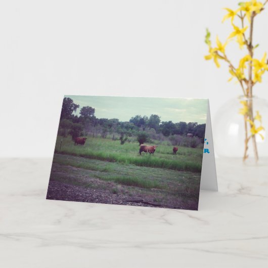 「牛の群れ」がよくカードを取る カード (黄色い花)