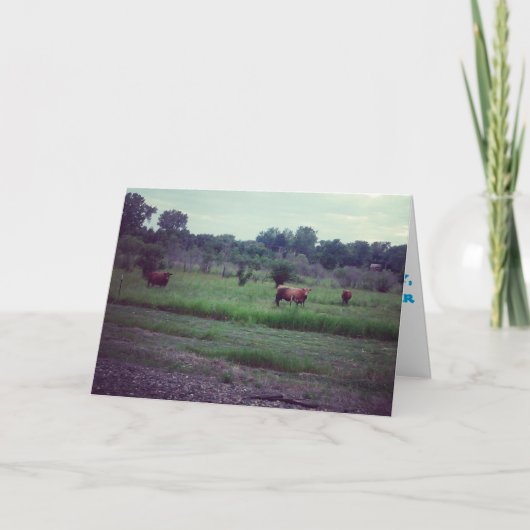 「牛の群れ」回復祝いカード カード (正面)