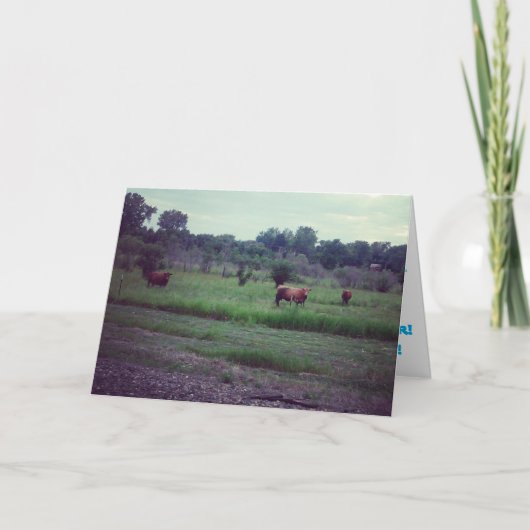 「牛の群れ」誕生日カード カード (正面)