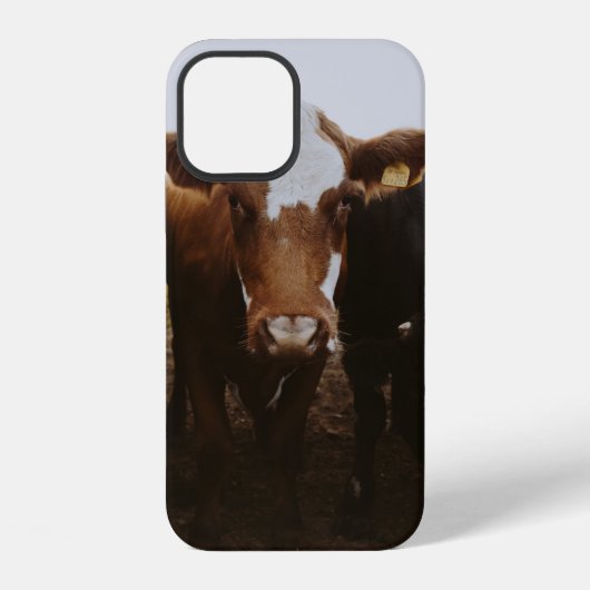 牛の群れ iPhoneケース (裏面)