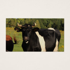 牛の角を取り除く