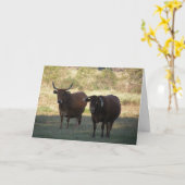 牛の角 – 元気になる カード (黄色い花)